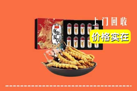 德州庆云县回收冬虫夏草